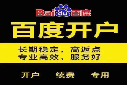 百度竞价推广代运营成功案例深度剖析